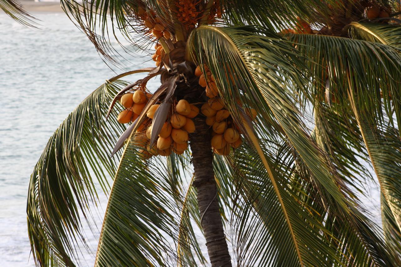 Playa De Santiago Otel Manzanillo Dış mekan fotoğraf